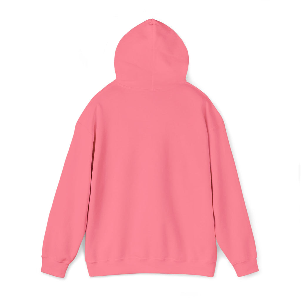 Women’s Pursue It Fleece Hoodie