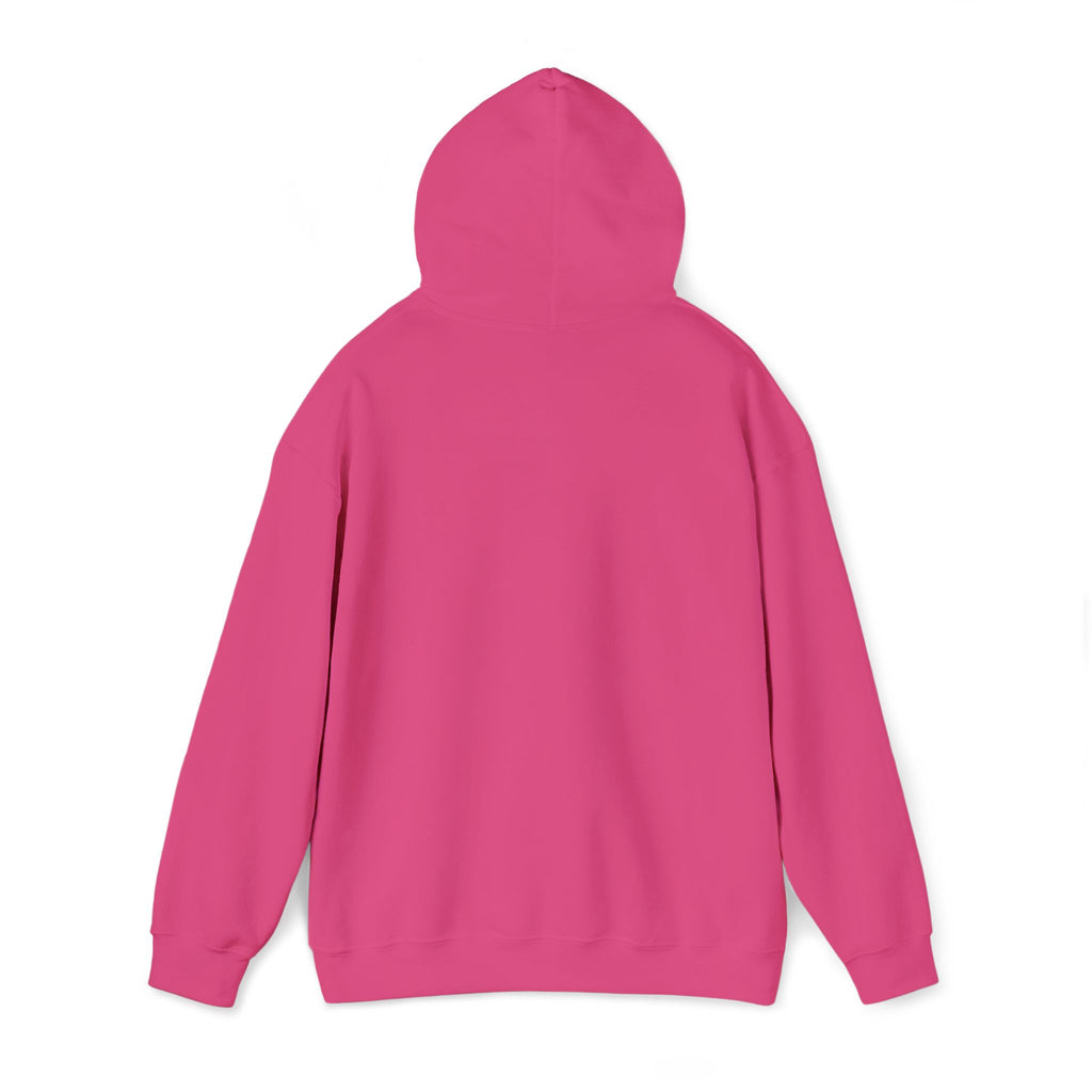 Women’s Pursue It Fleece Hoodie